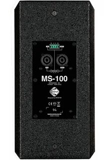 Ms 100