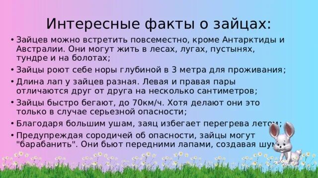 Проект про зайца 3 класс Презентация заяц беляк