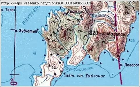 Тайгонос