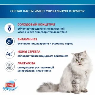Паста клини инструкция