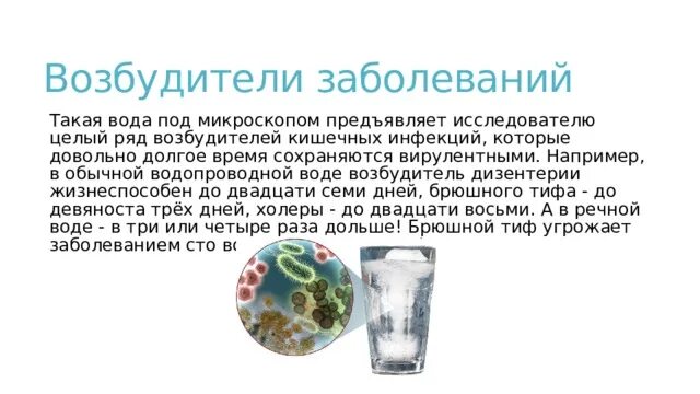 Возбудители кишечных инфекций в воде. Возбудители кишечных инфекций в воде
