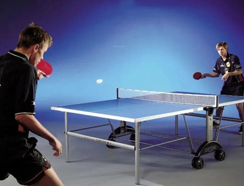 Настольный теннис. Стол теннис играем. Pingpong 2006. Настольный теннис (стол т1223). Настольный теннис.