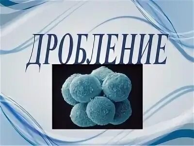 Что значит дробление акций