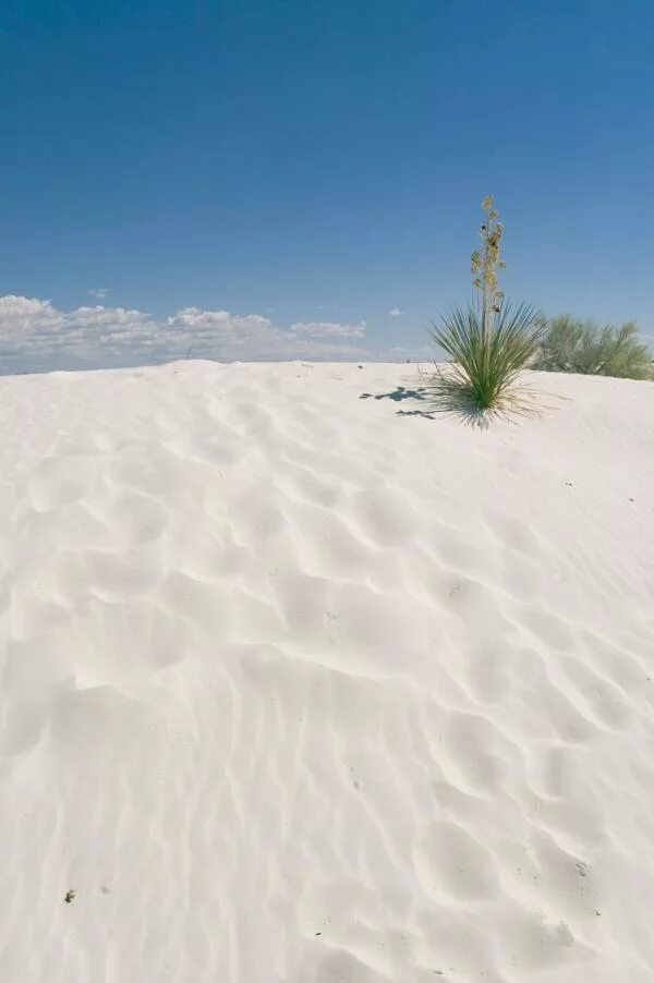сайт белые пески. пустыня на белом море. сайт белые пески. сша. сайт белые пески.