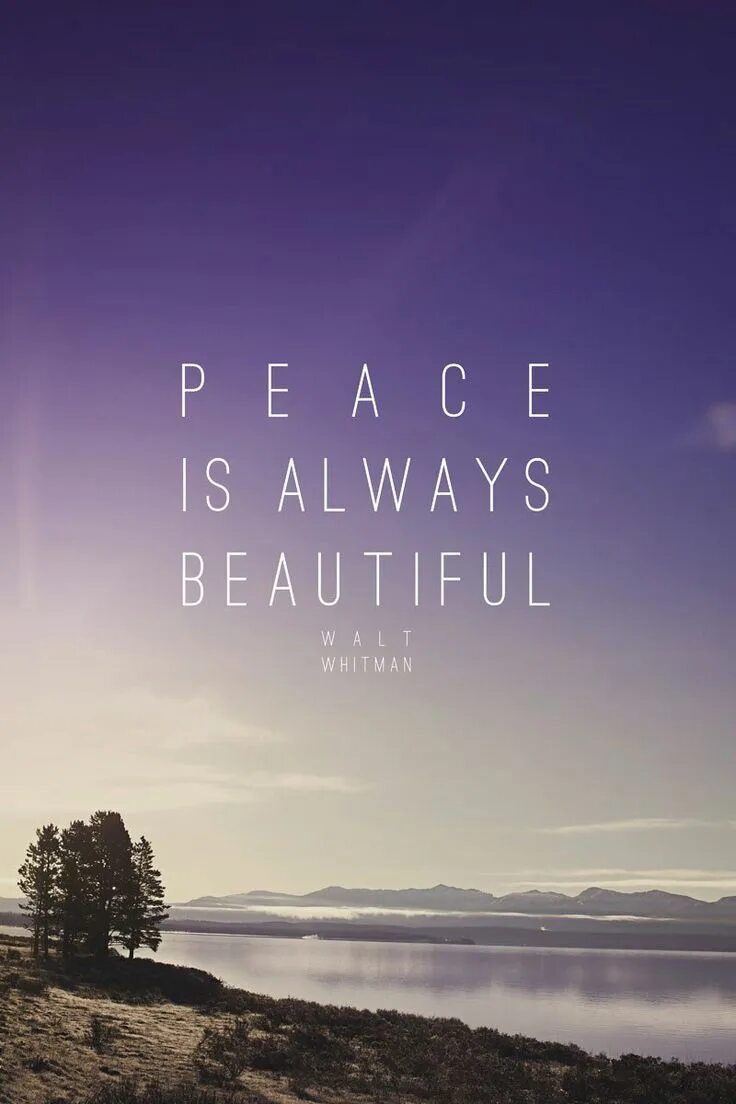 Sunrise quotes. Peace is beautiful. Закат хоуп. Peace is beautiful. Лотос красивые цитаты.