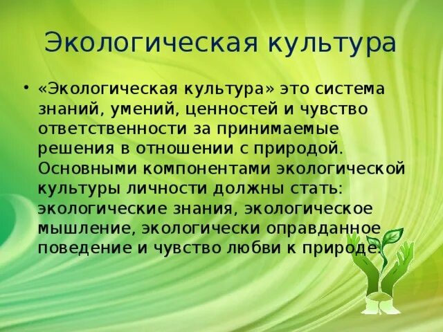 Понятие экологии культуры