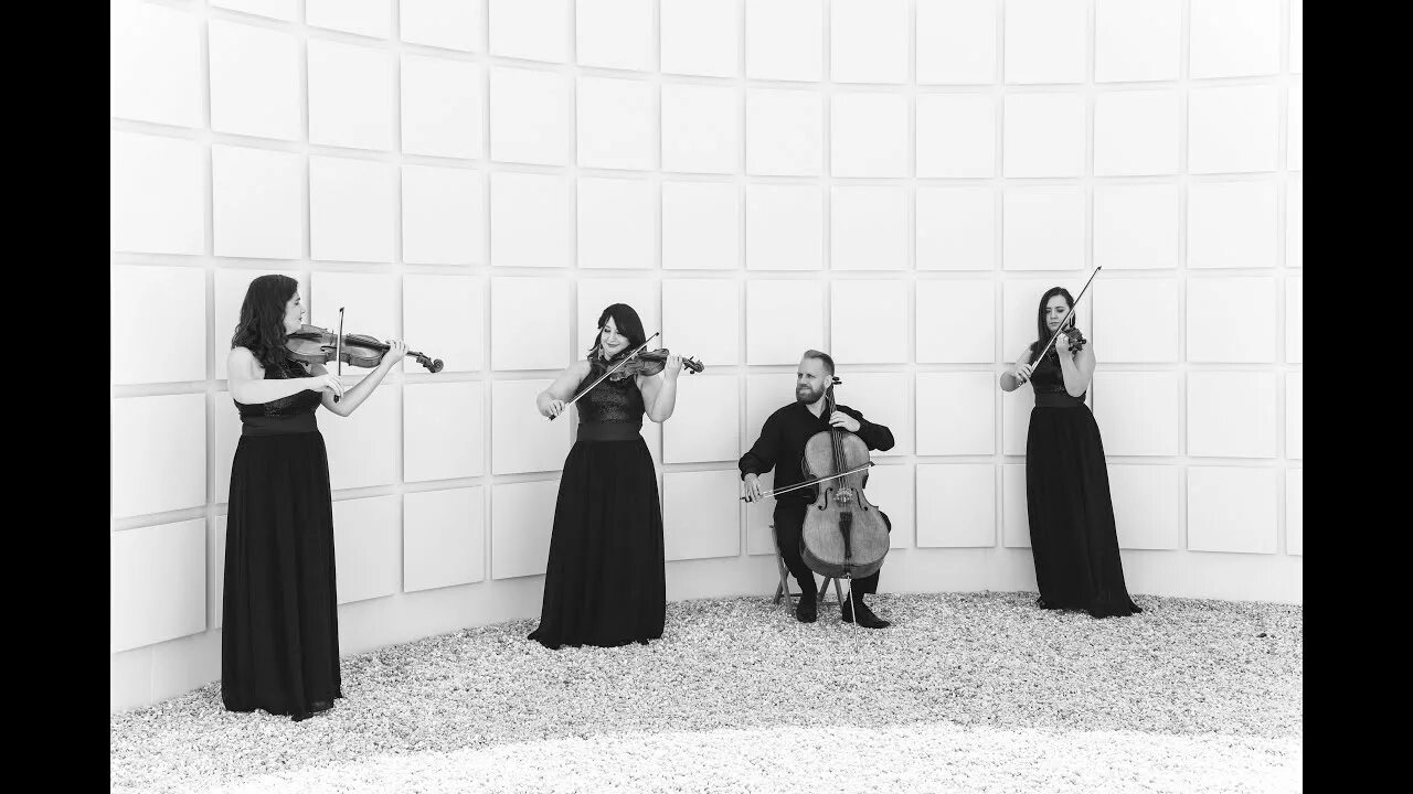 String quartet haydn. London haydn quartet op 20.