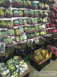 Ростов садовый центр каталог