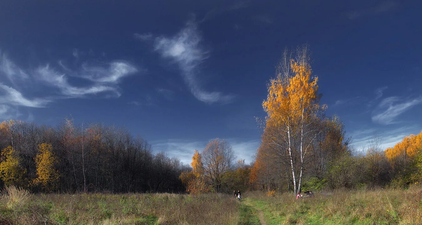 Низкими осенними тучами. Осеннее небо. Осень небо. Красивое осеннее небо. Пасмурная Золотая осень.