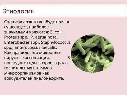 Специфические возбудители