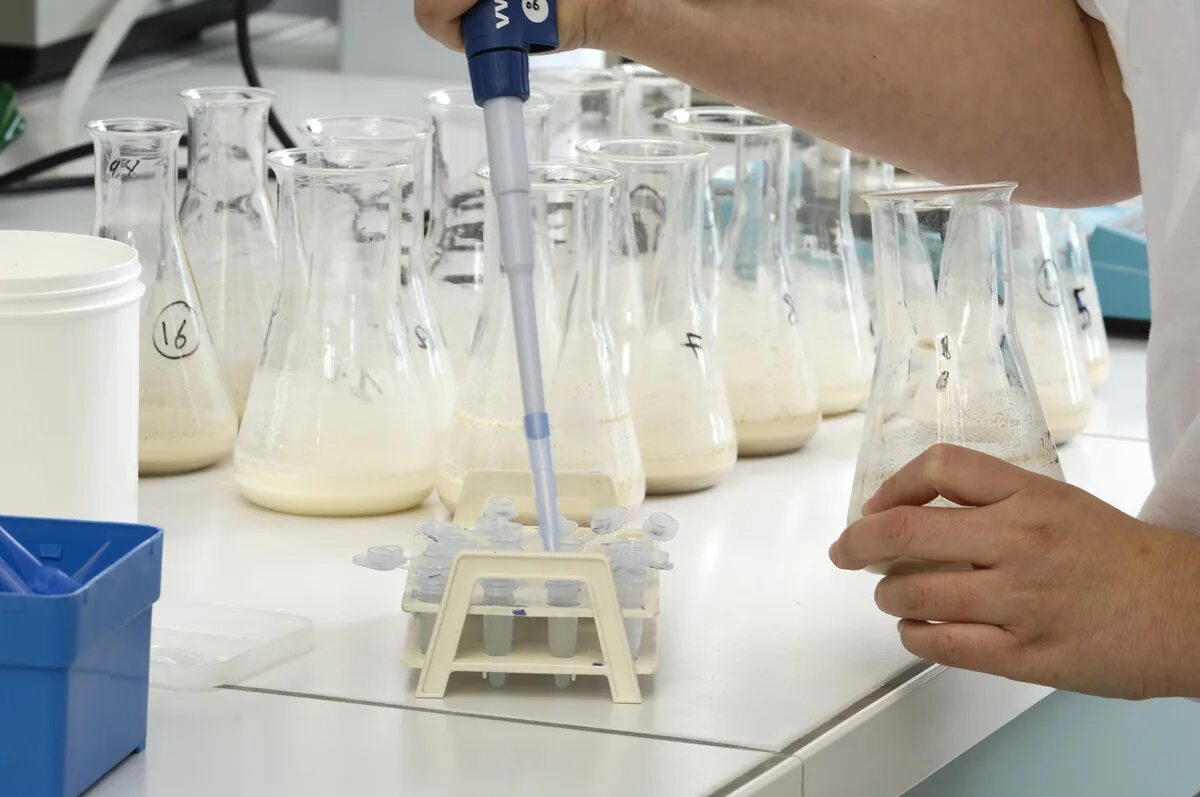 Анализ молока и молочных продуктов