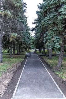Ели новокуйбышевск