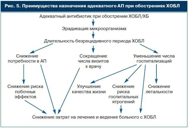 Схема бронхита. Антибактериальная терапия при обострении ХОБЛ. Схема назначения препаратов при ХОБЛ. Назначение антибиотиков при бронхиальной астме. Терапия при ХОБЛ антибиотики.