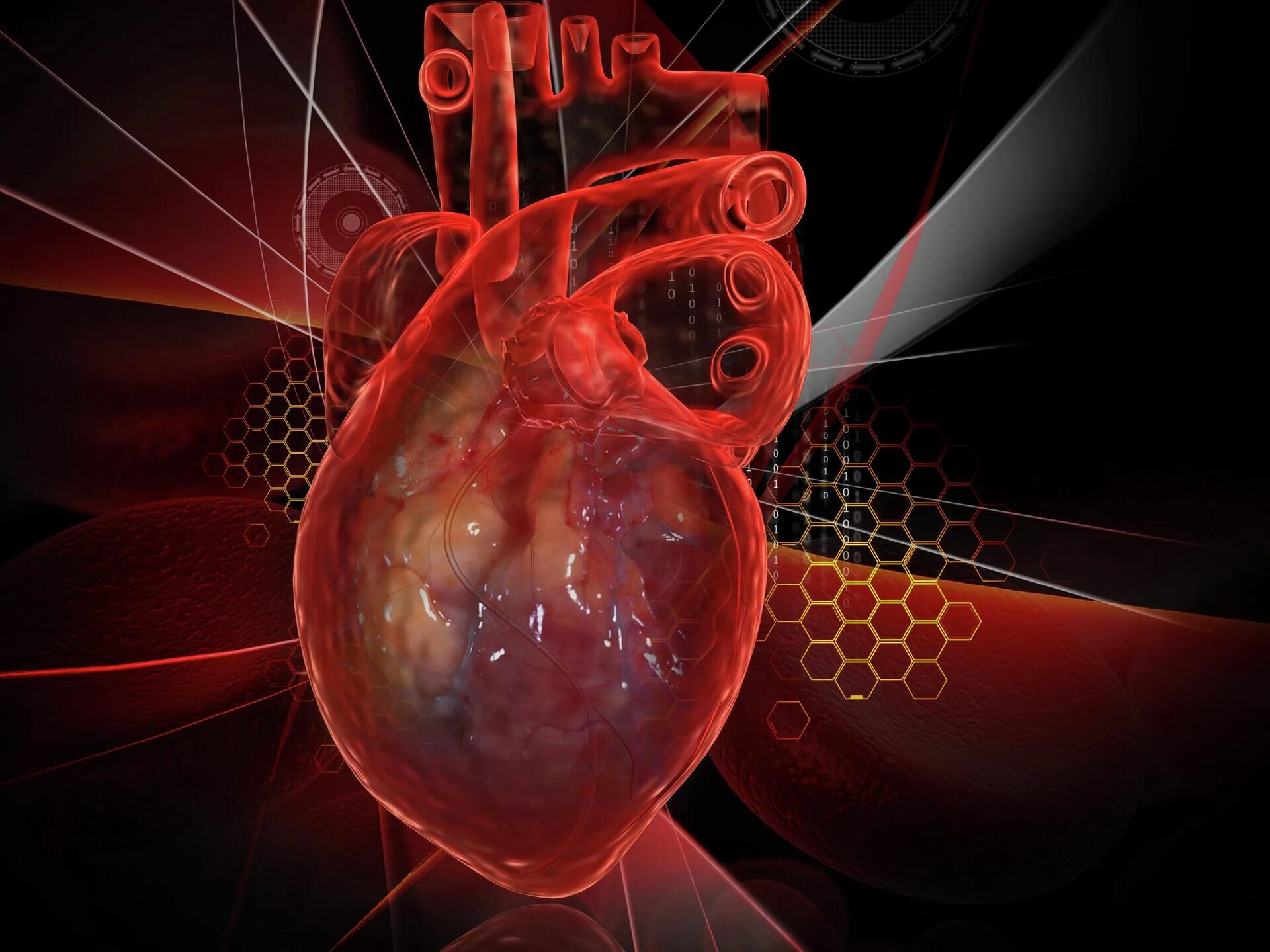 Проводящие кардиомиоциты. Шеврон сердце. Сердце в клетке. Клетчатого сердца. Сердечко из клеточек.