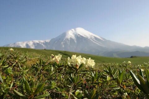 Камчатский край заповедник
