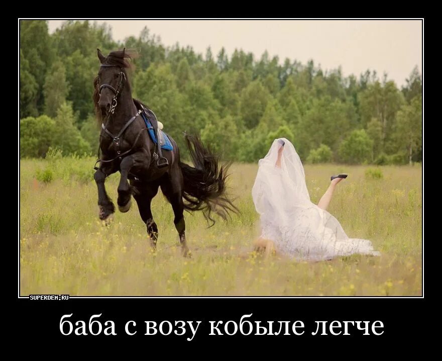 Кобыла с возу. Баба с возу. баба с возу коню легче. конь на скаку. бабу к свозу кобыле легче.