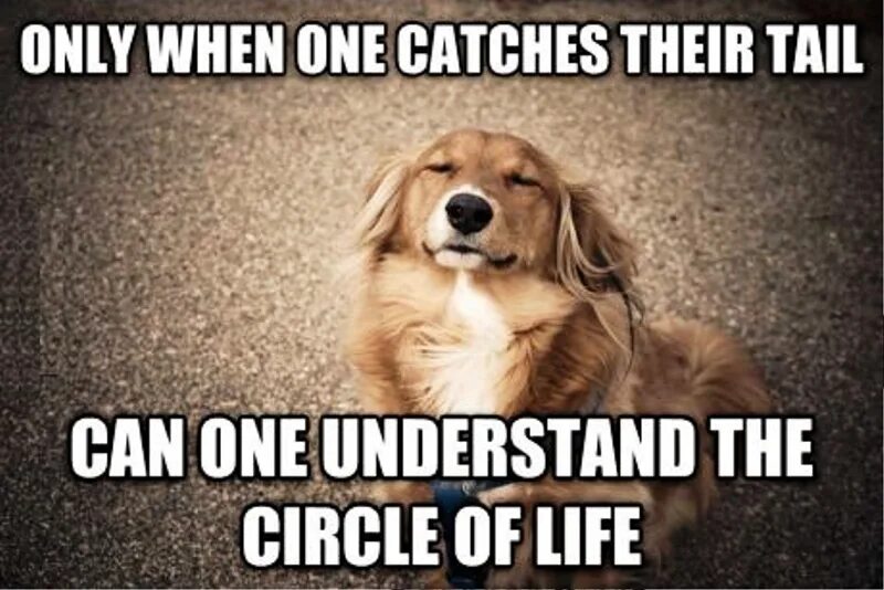 Only when i