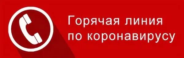 Горячие линии перми