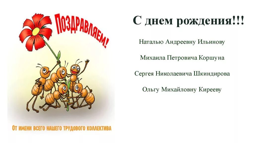 Поздравление с рождением коллеге девушке прикольные. Поздравление с днем рождения коллеге. Поздравление сотрудника с днем рождения. Поздравление от коллектива. Открытка с днем рождения от коллектива.