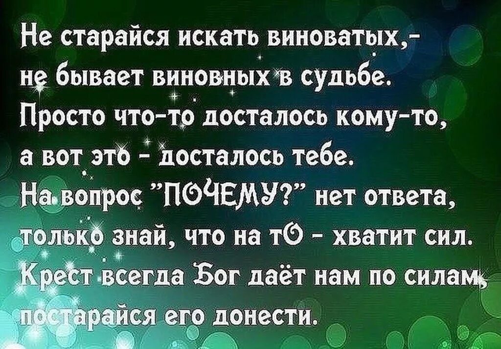 Не ищите виноватых