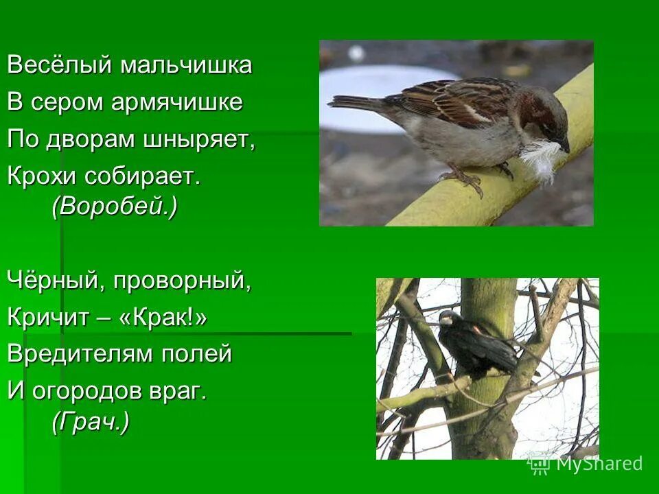 Мальчишка в сером армячишке. Мальчишка в сером армячишке
