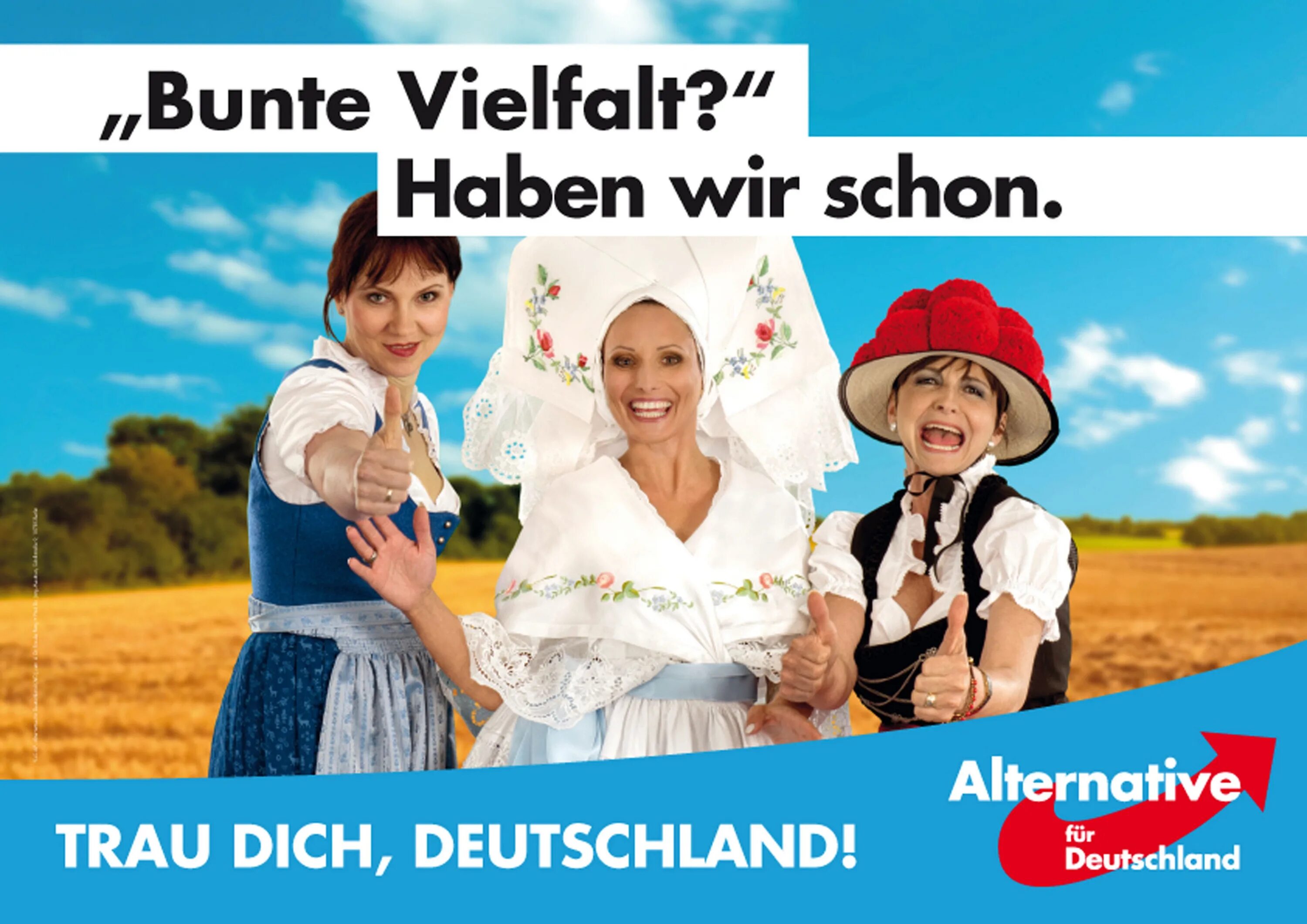 AFD плакат. Плакат Deutschland. Альтернатива для Германии плакаты. Немецкий журнал bunte.