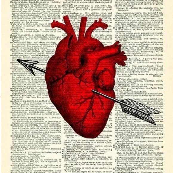 Большое сердце произведение. Постер "сердце". Плакат сердце. Анатомический плакат сердце. Сердце плакат анатомия.