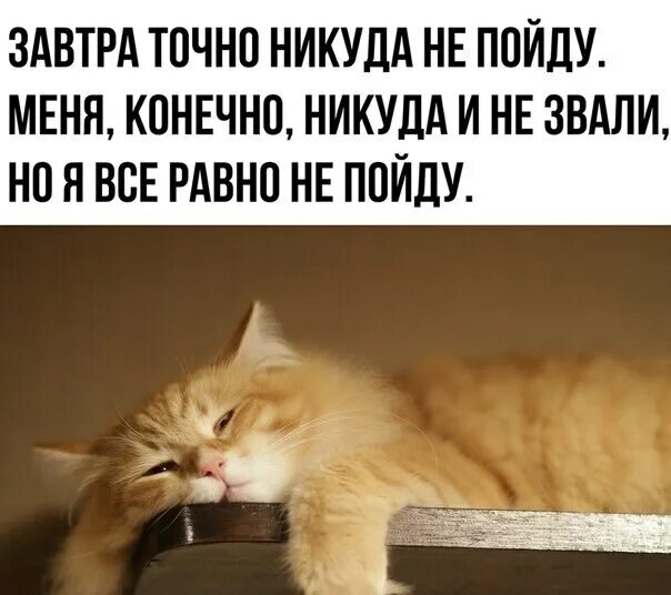 Никуда не спишу. Давай никуда не пойдем. никуда не пойду. сегодня никуда не пойду. никто никуда не зовет.