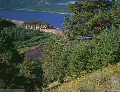 Устье реки лена
