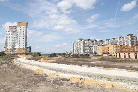 Европейский липецк