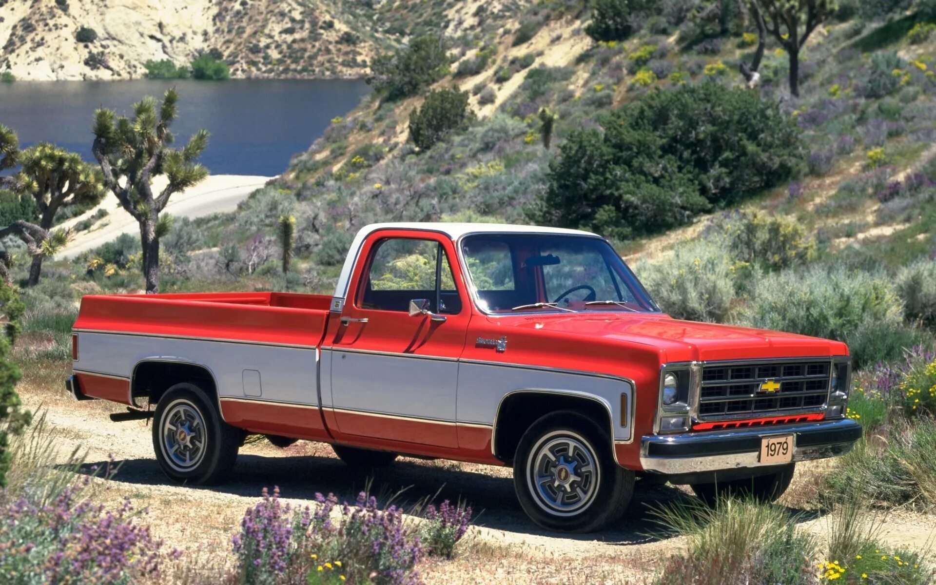 Шевроле Сильверадо 1979. Шевроле chevy Pickup. Chevrolet Silverado 1950. Chevrolet Silverado 20. Пикап поле