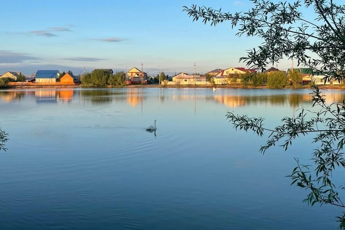 Лебяжье озеро Салехард. Салехард Ozera. Озеро Лебяжье Салехард фото. Теплое озеро Салехард.