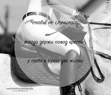 Всегда держимся