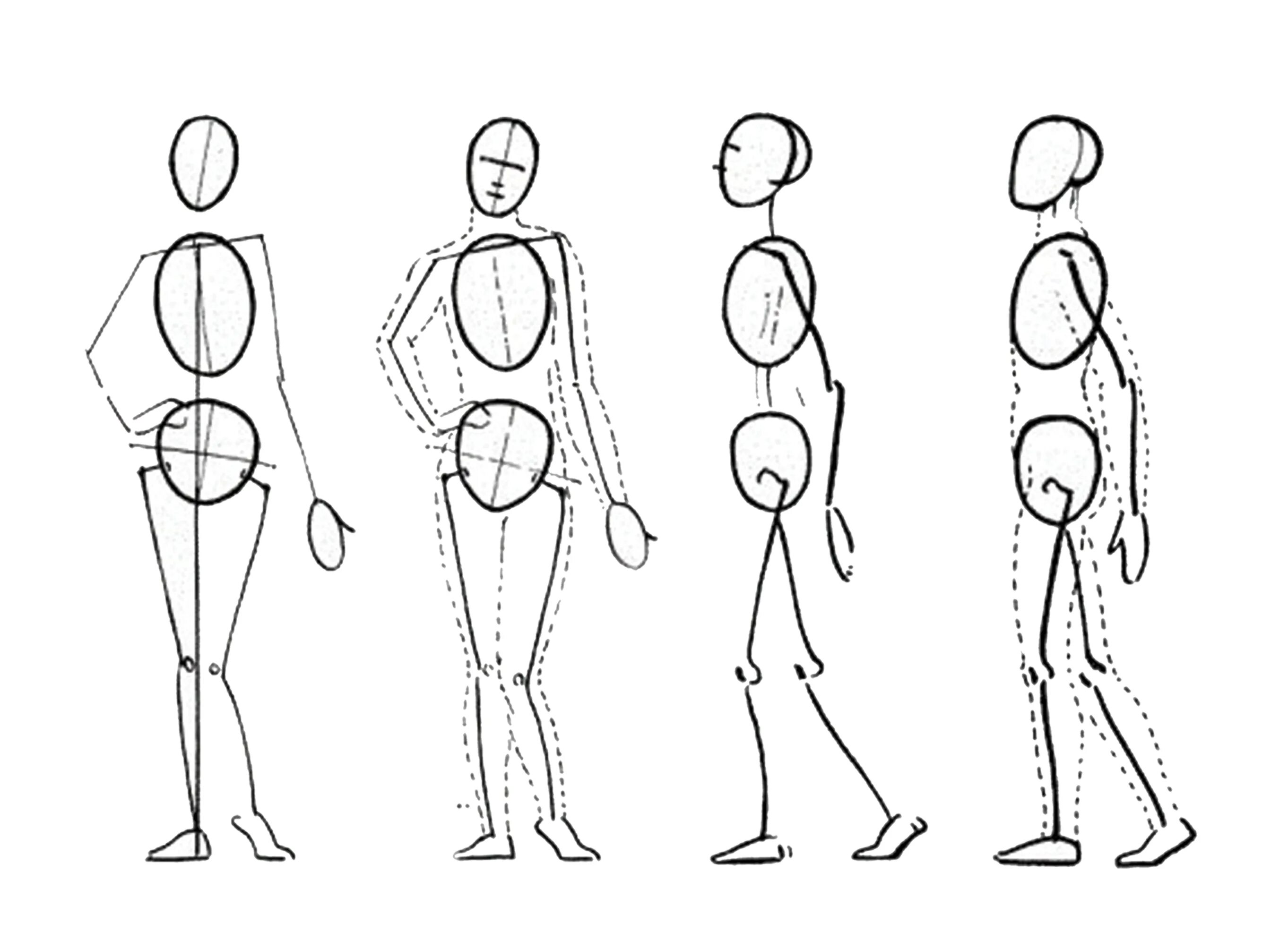 Схема человека. Схематичный рисунок человека. Зарисовки схемы фигуры человека.. Схематичное построение человека. Схематичная фигура человека.