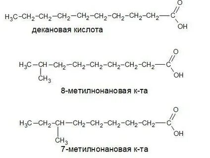 C 10 описанием