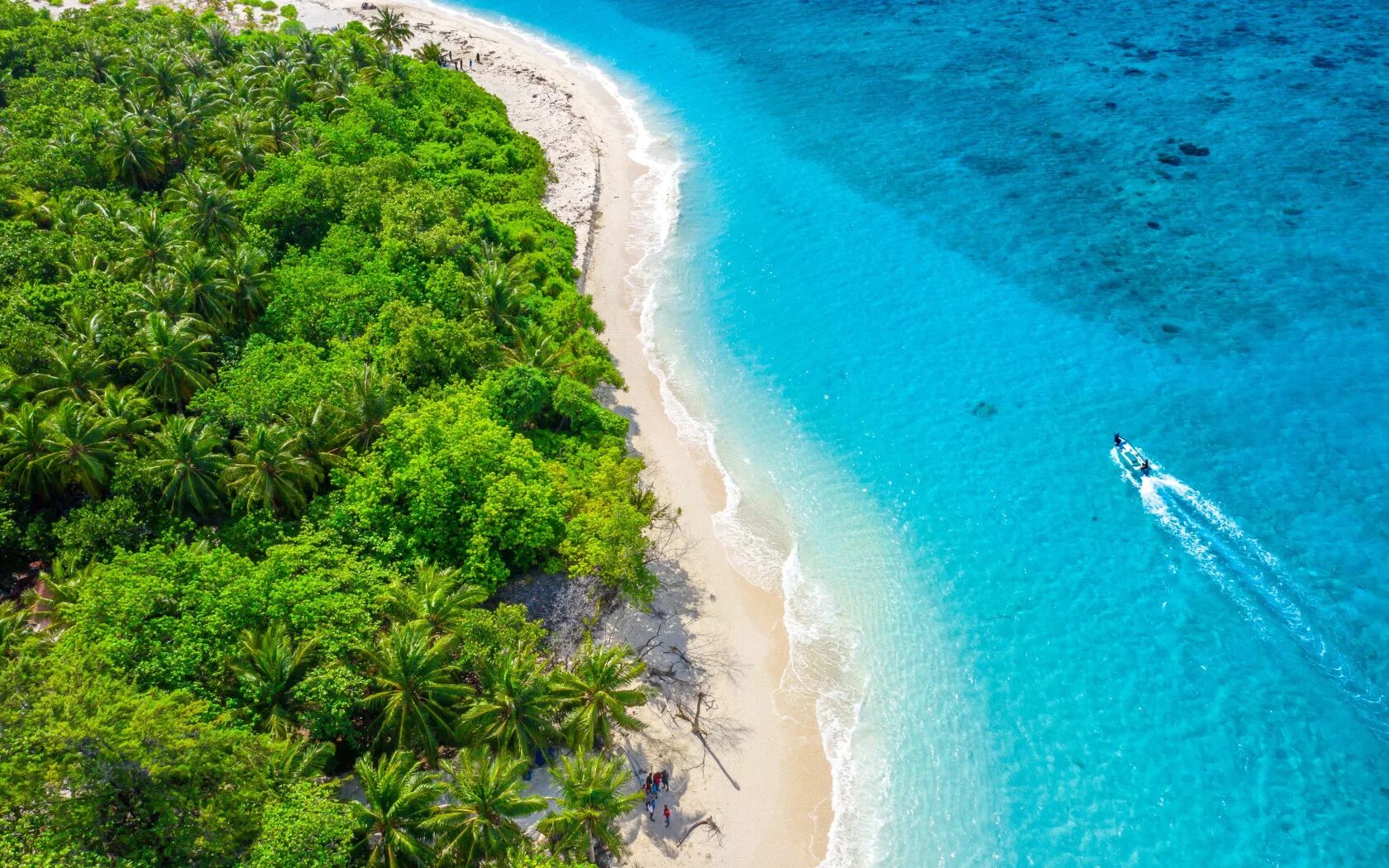 Download wallpaper 2560x1440 palms, ocean, beach, vacation, paradise widescreen 