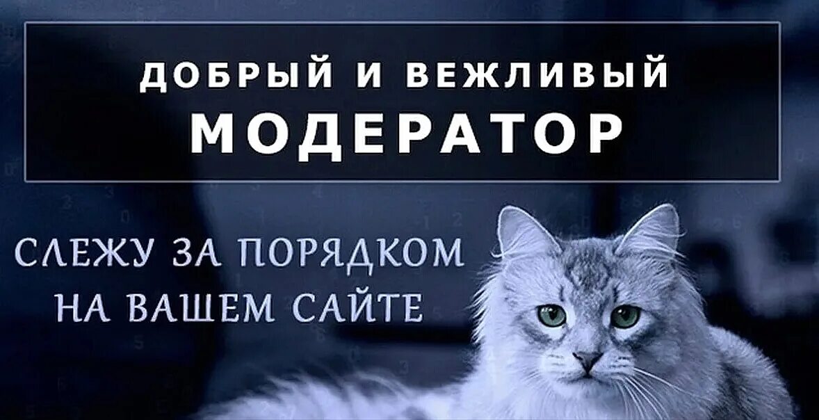 Программа модератора