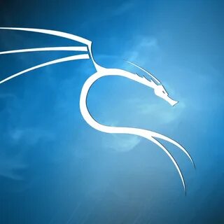 Kali linux live