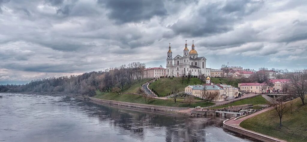 Виды орла город