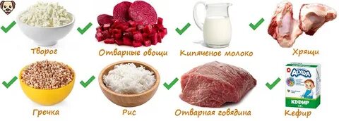 Какие каши можно собакам крупных пород