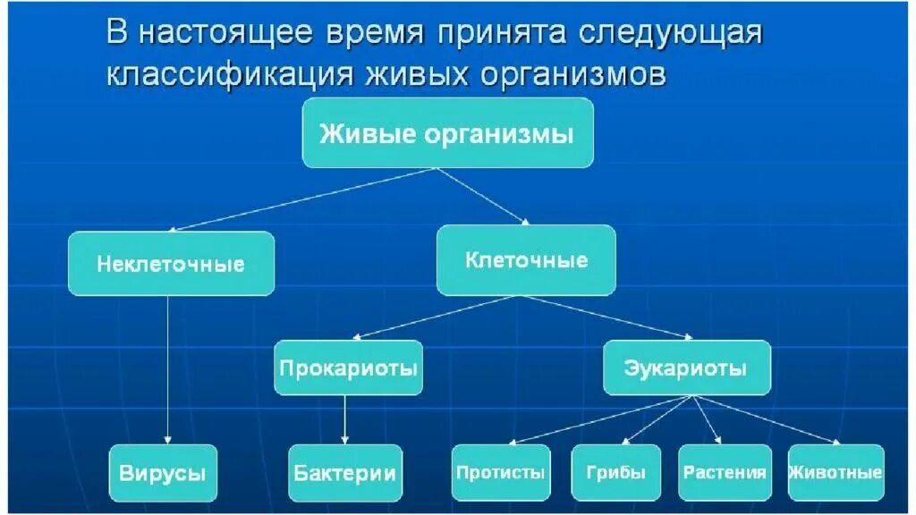 Современная классификация живых организмов таблица. Схема биологической классификации живых существ. Современная классификация живых организмов схема. Классификация организмов в живой природе. Объедини в группы перечисленные