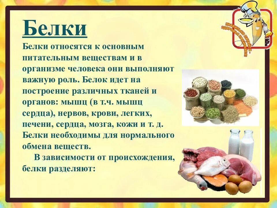 Продукты относящиеся к белковой пище. Белковые продукты список. Белок в продуктах питания. Что относится к белковой еде. Питание белки.