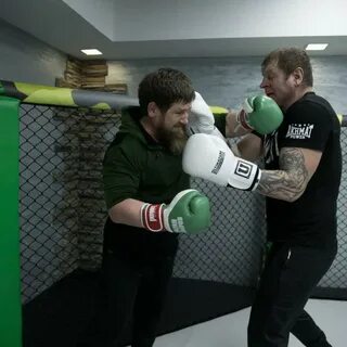 Бои кадырова