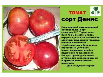 Томат описание хохломы