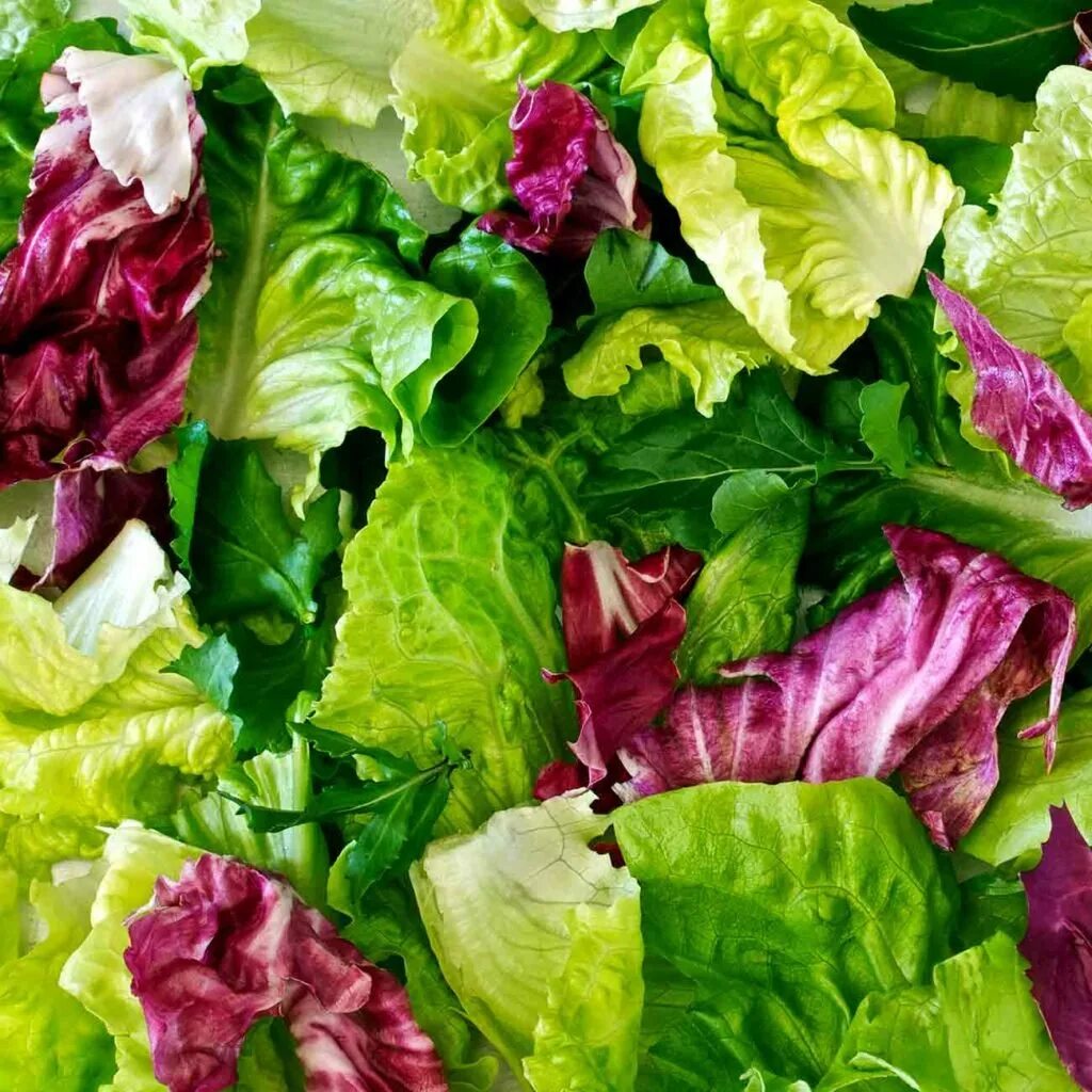 Карин мюллер "вкус листьев коки". Карин мюллер "вкус листьев коки". Вкус листьев. Вкус листьев. Вкус листьев.