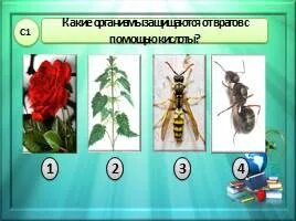 Тест по окружающему миру 3 разнообразие веществ. Тест по окружающему миру 3 разнообразие веществ
