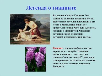 Жанр название цветок на земле