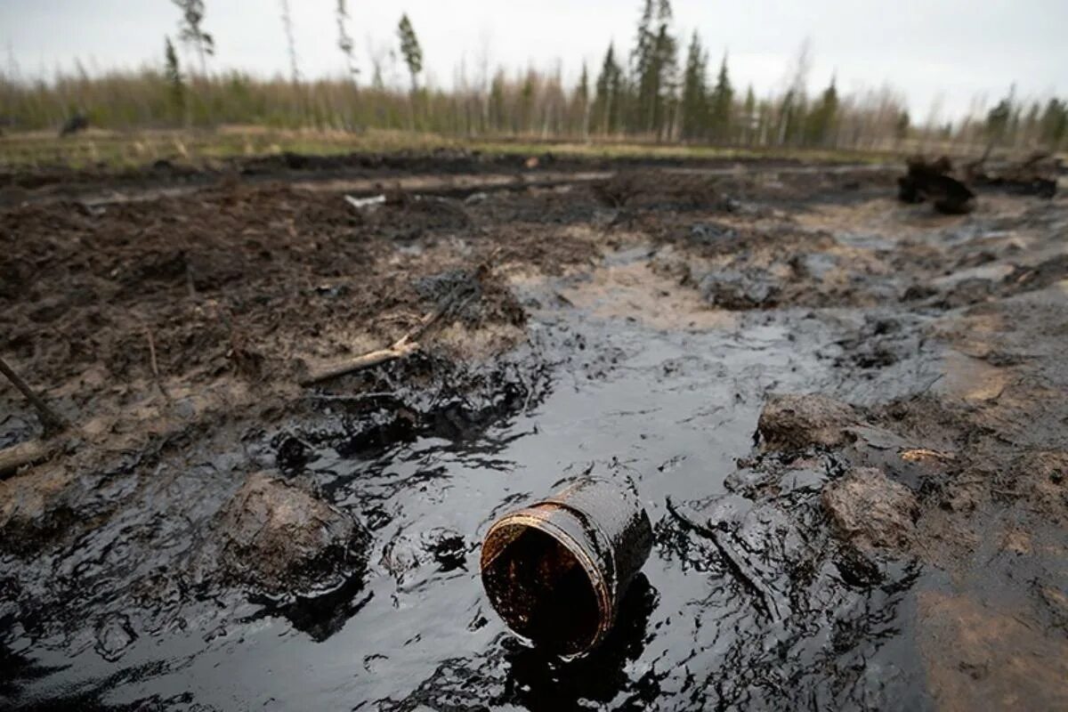 Природные разливы нефти. Загрязнение литосферы НПЗ. Загрязнение литосферы разлив нефти. Загрязнение почвы. Загрязнение почвы нефтью.