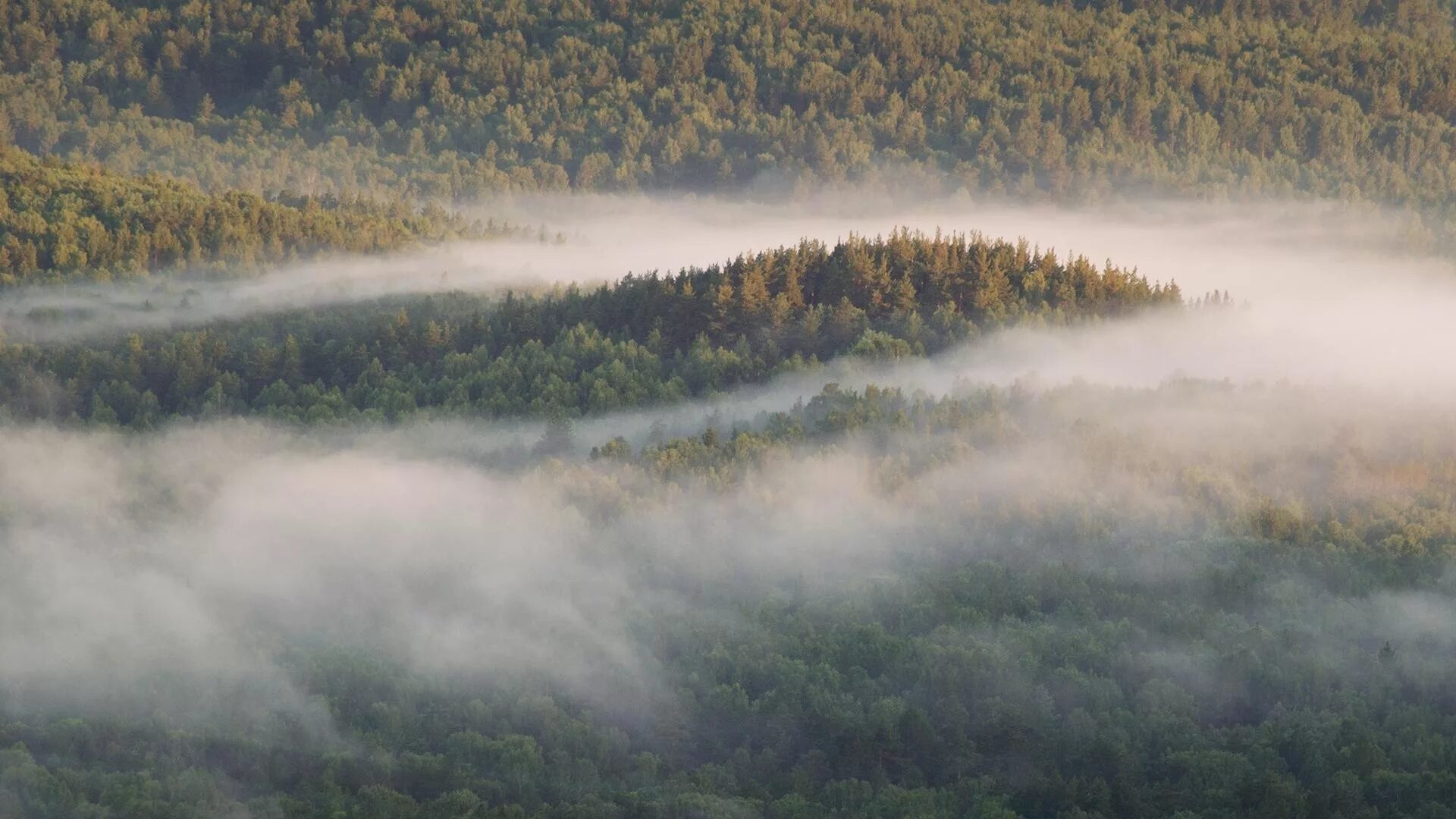 Камберленд горы. Зеленые горы в тумане. Туманный пейзаж. Природные явления туман. Горы холмы.