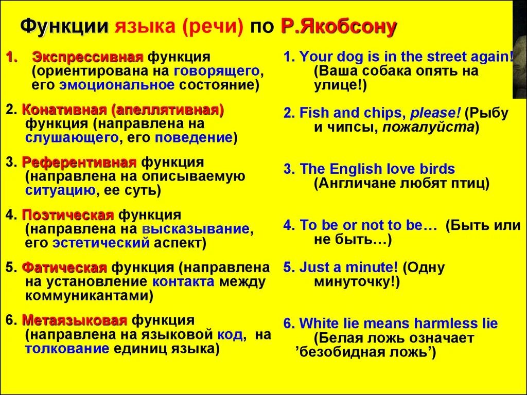 Назвать функции языка. Функции языка таблица с примерами. Функции языка по Якобсону. Функции языка кратко. Функции языка примеры.